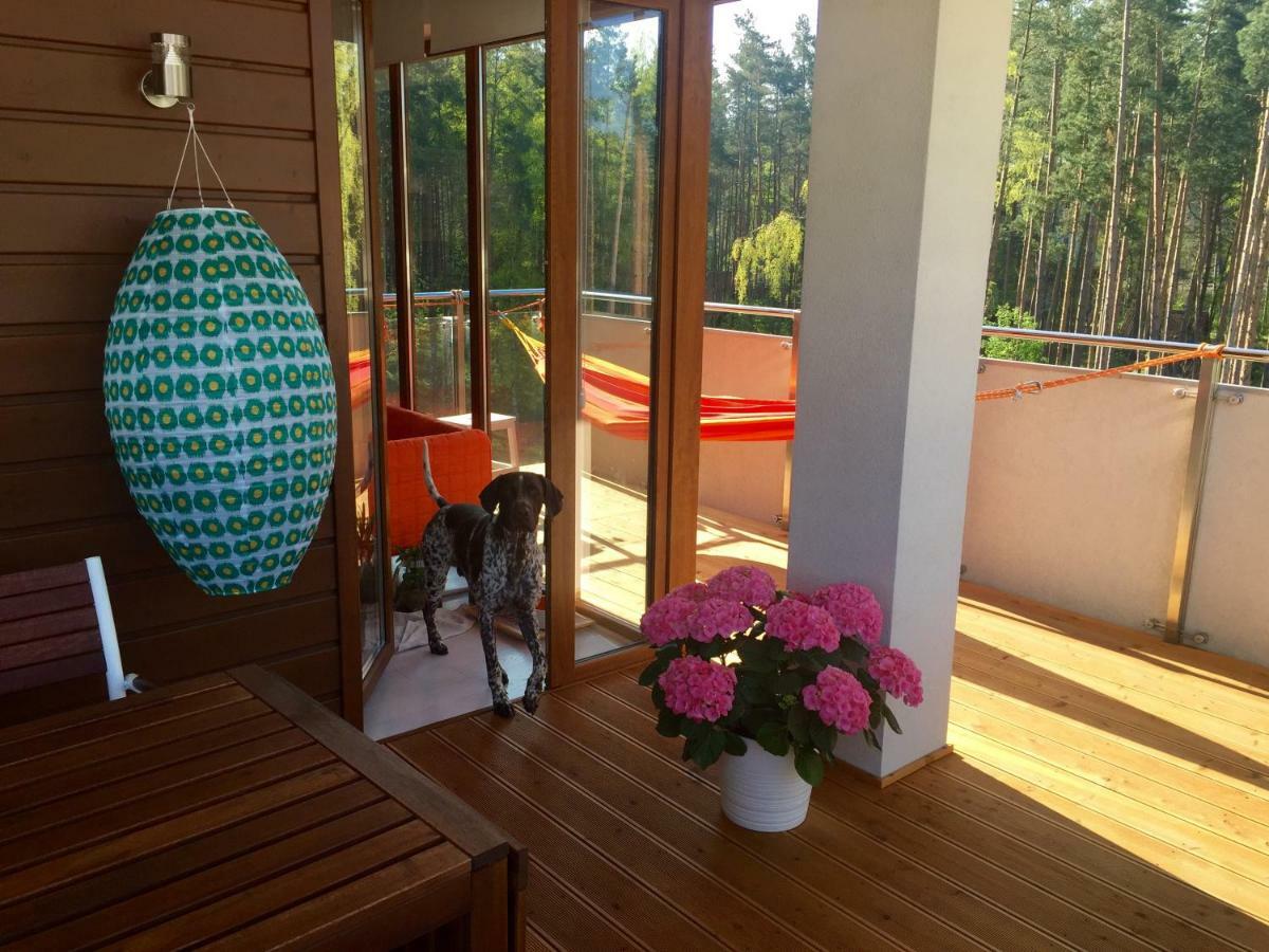 Apartamenty Flaming Baltic Park Stegna Bagian luar foto
